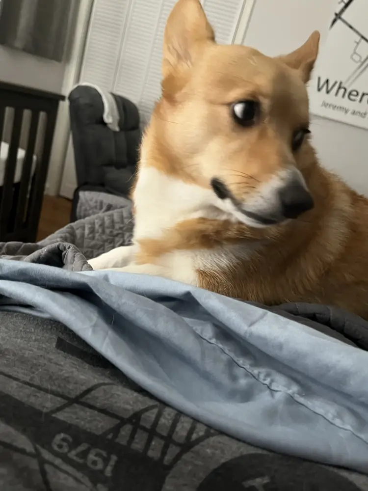 Stephanie profile pic