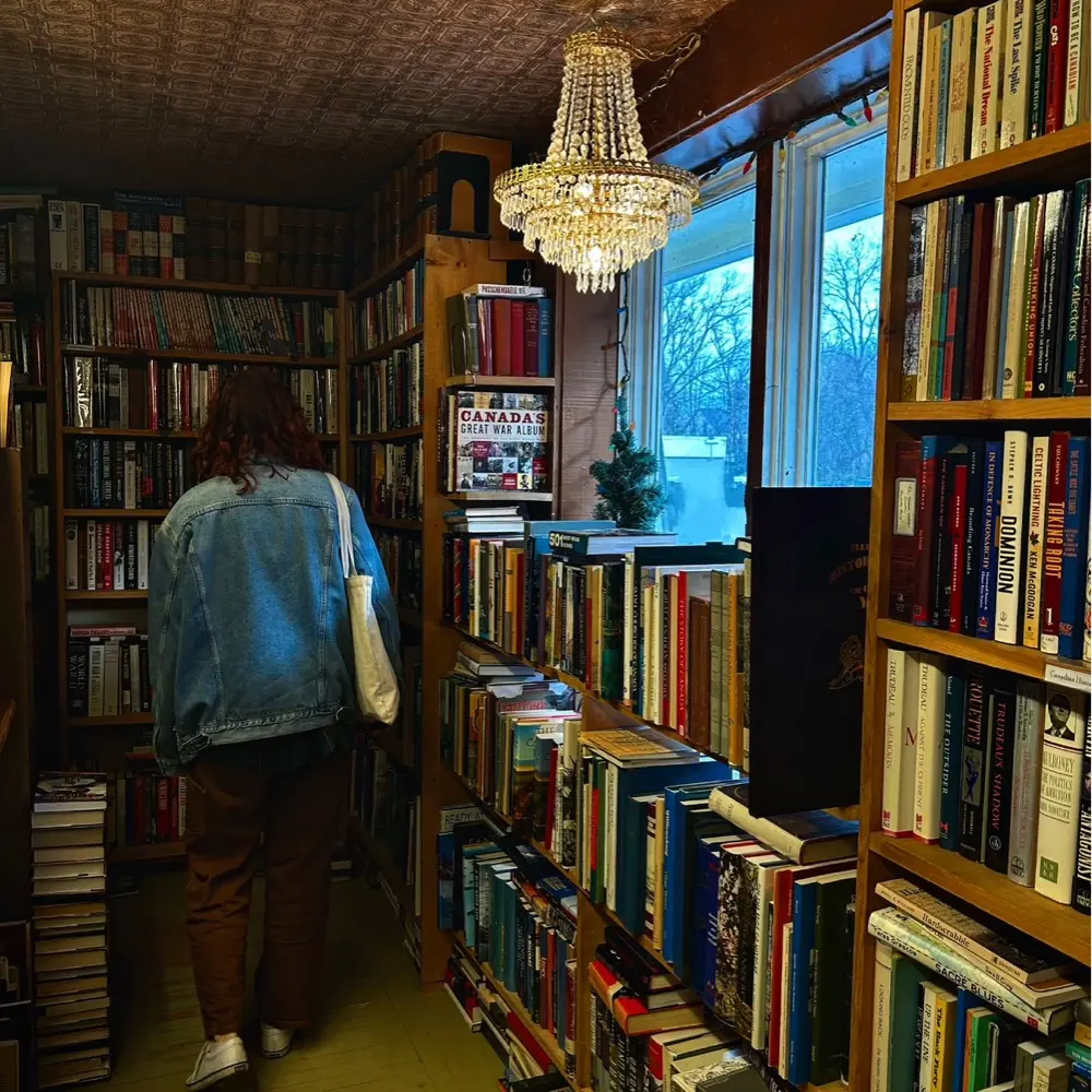 Madeleine profile pic