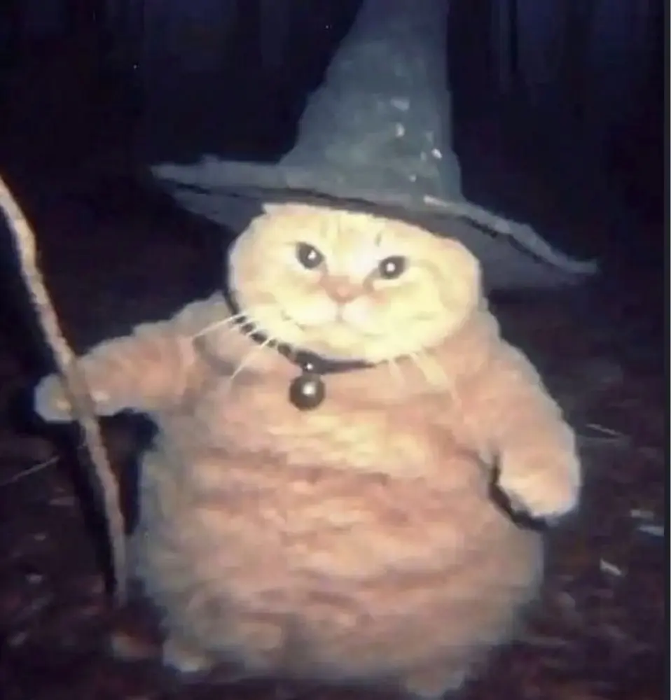 Olivia White-Parsons profile pic