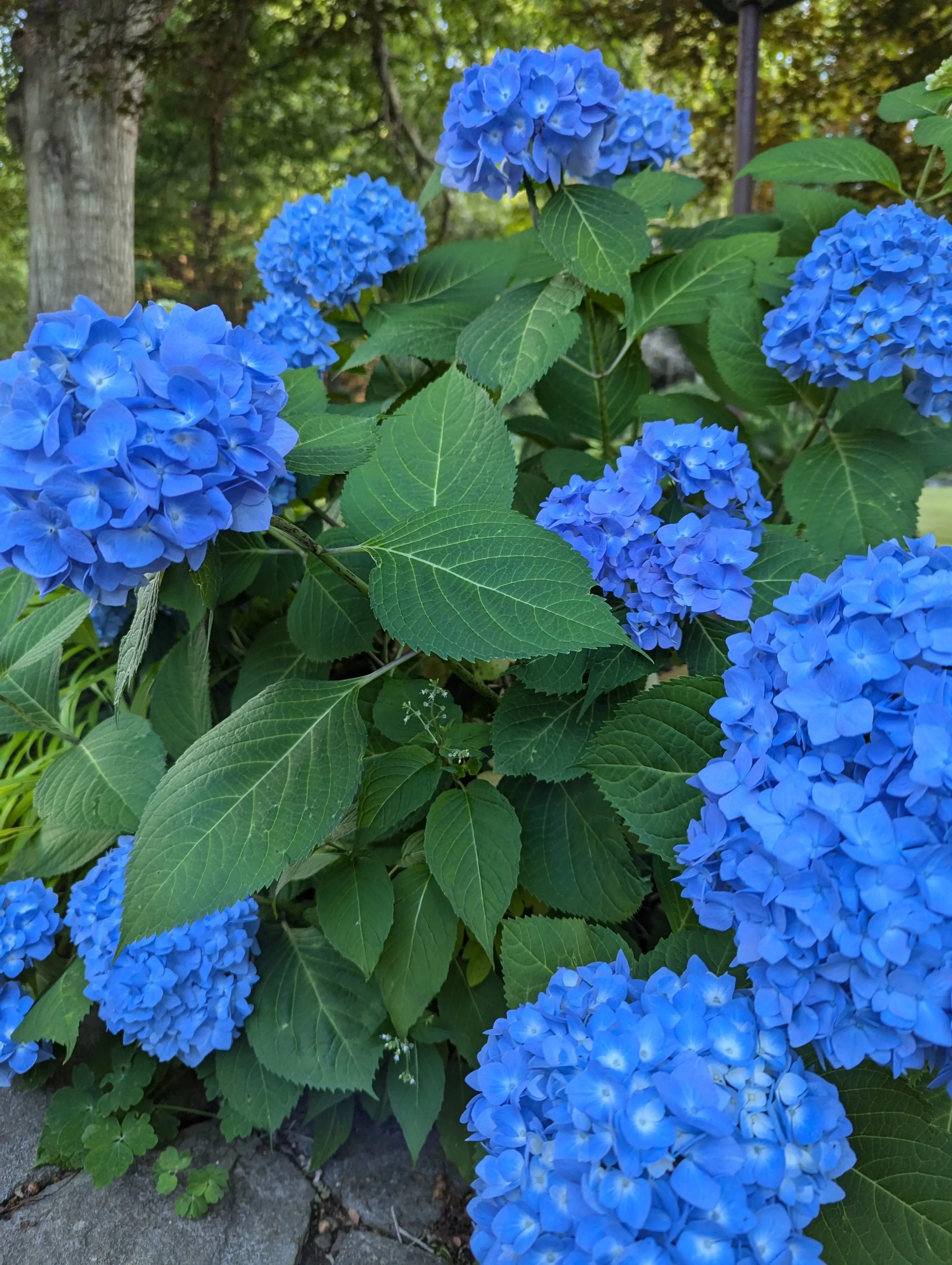 kpop_reads profile pic