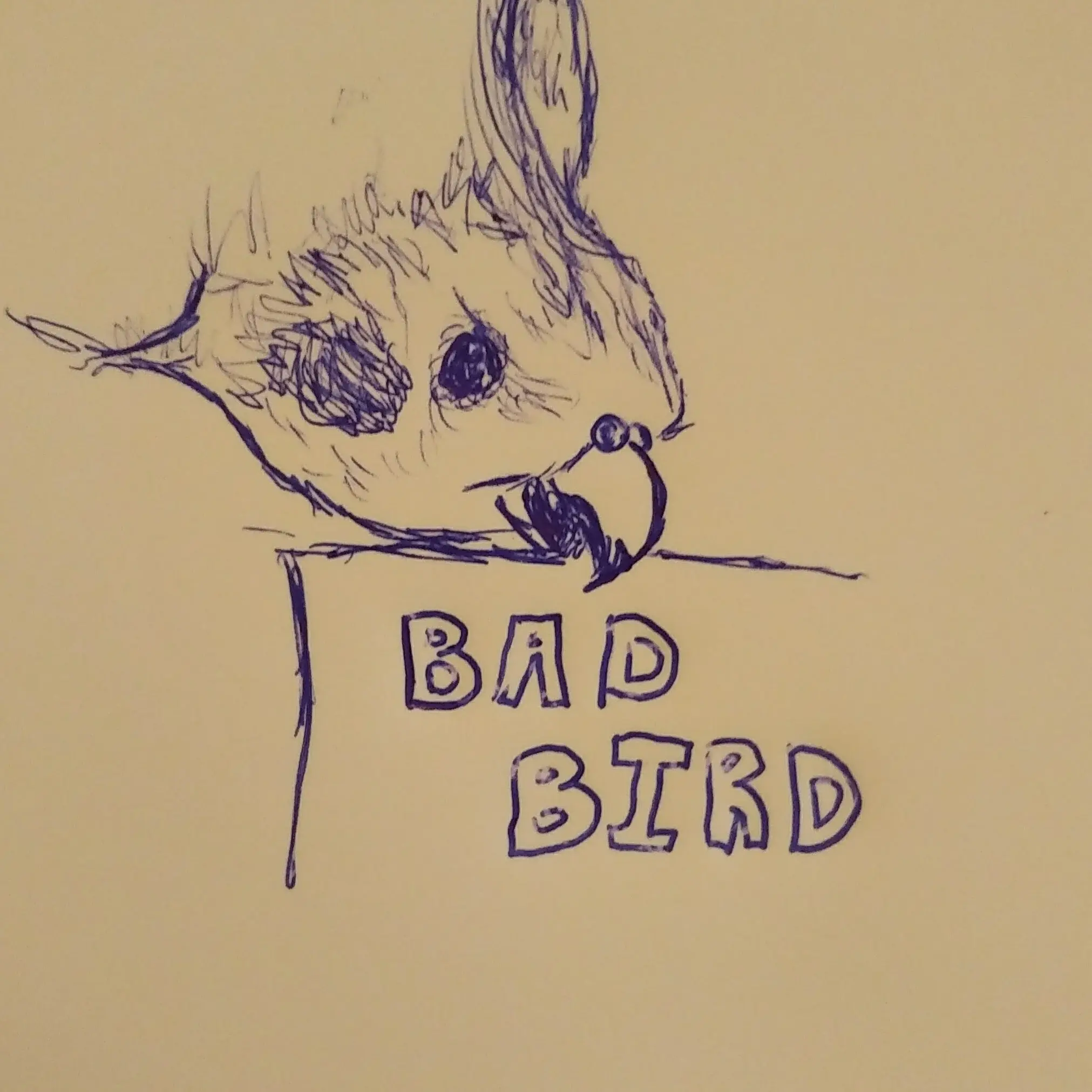 DoctorNyk, moderator