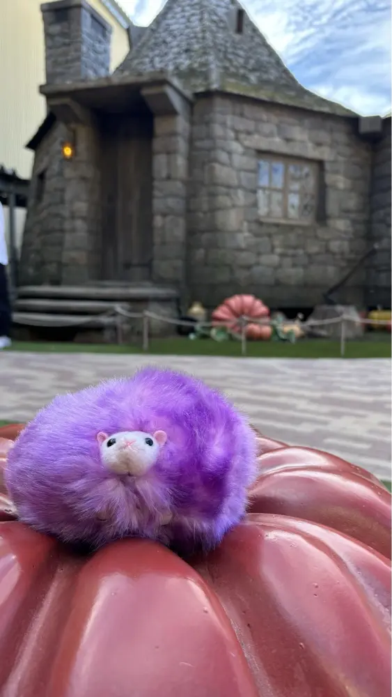 Alice_Alyssa profile pic