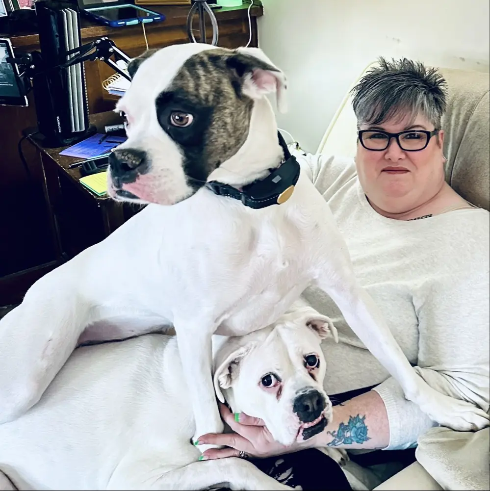 Bxermom profile pic