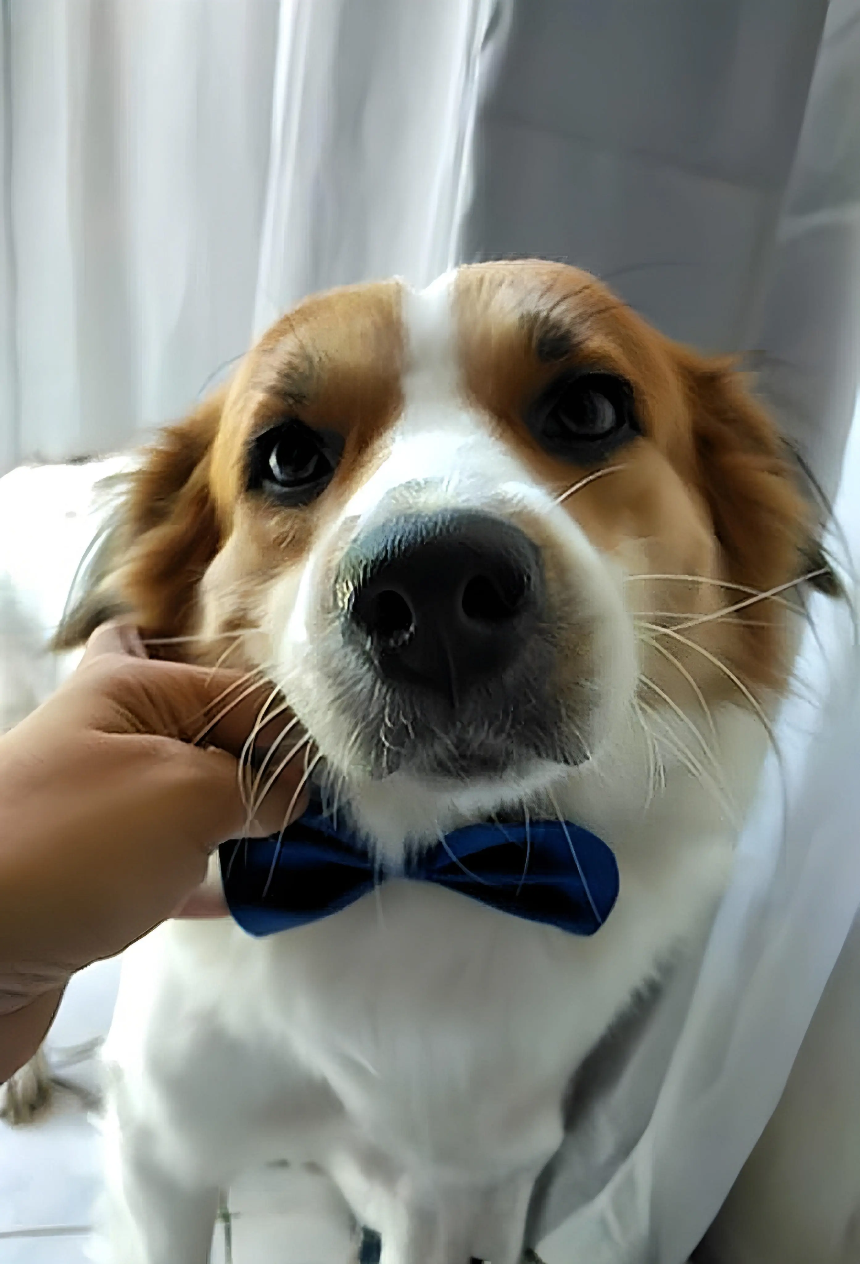 hungrybookworm.reads profile pic