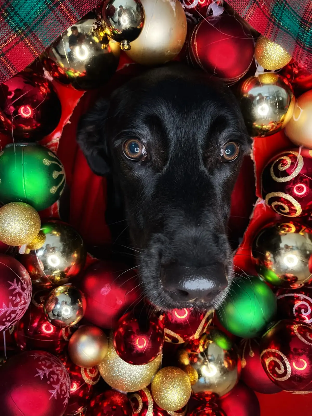 Fátima 🍃✨ profile pic