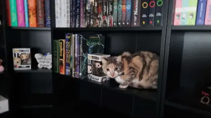 Books, because Books hero