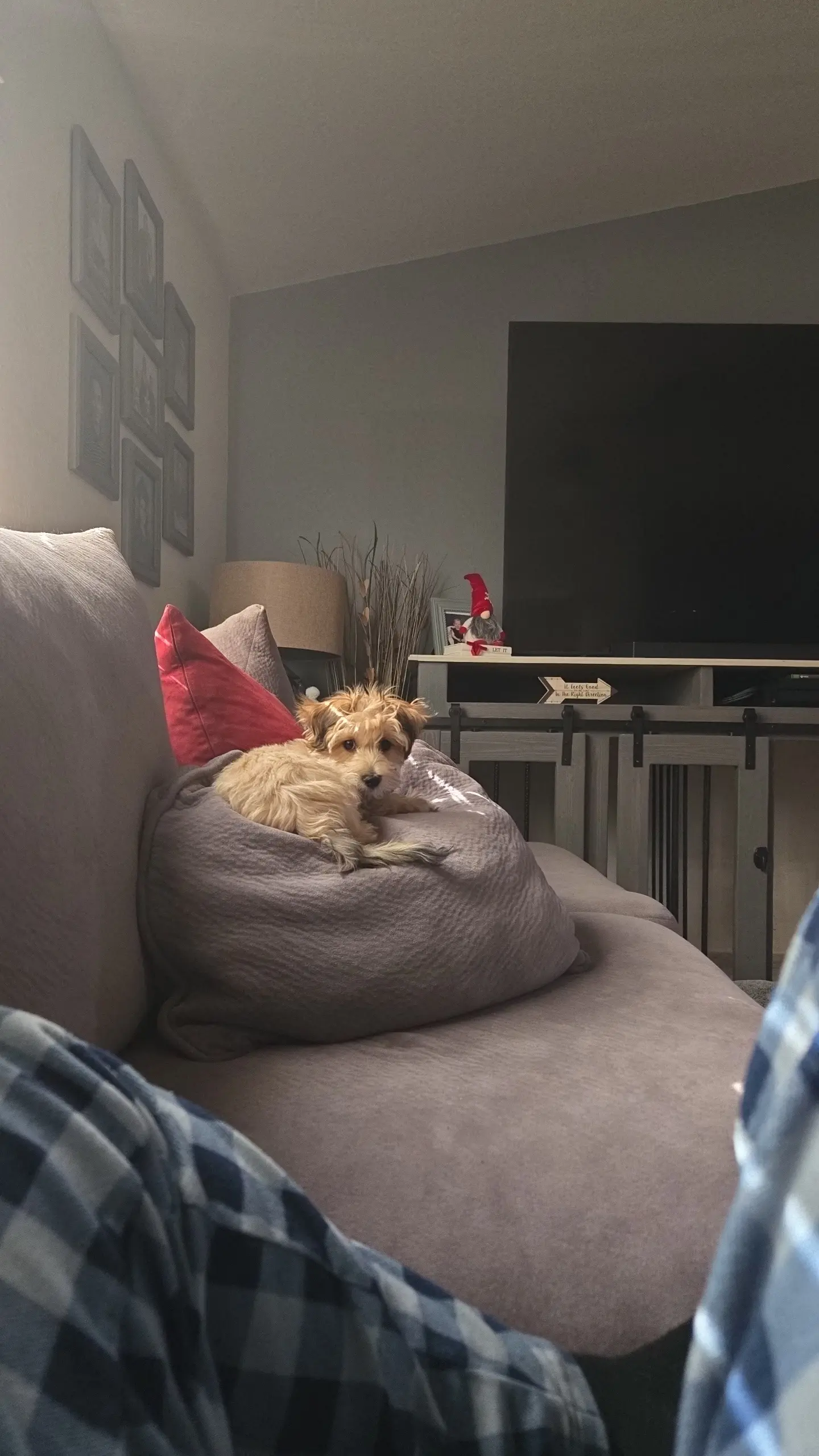 Emma Abdella profile pic