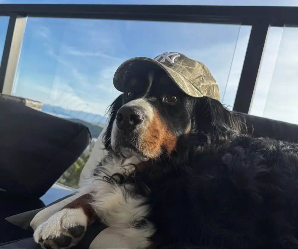 Zaya Seney profile pic