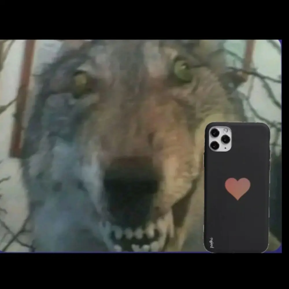 Haley :) profile pic