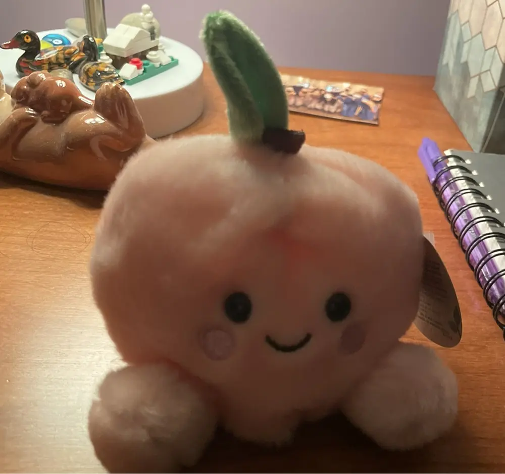 pteridofyte profile pic