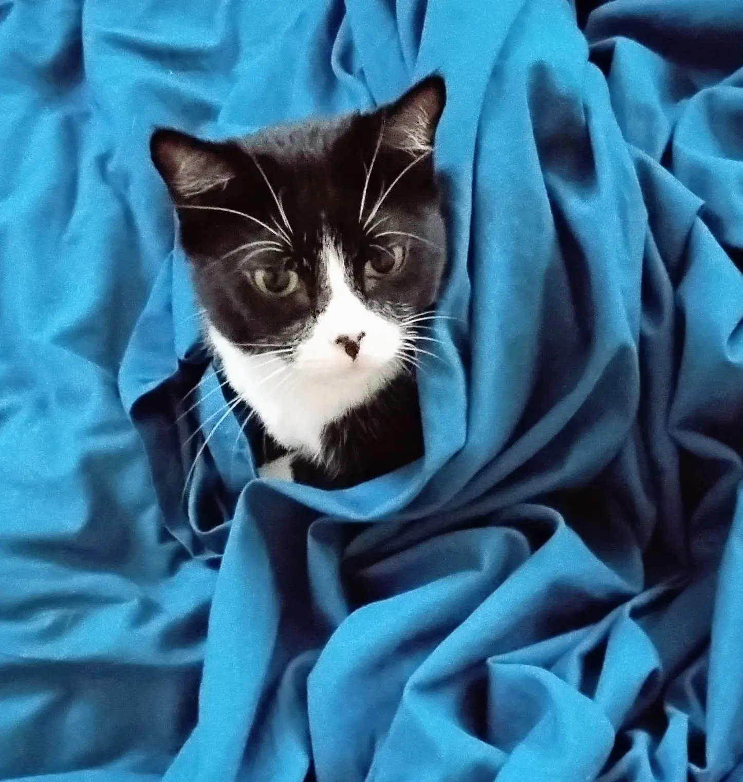 Tera True profile pic