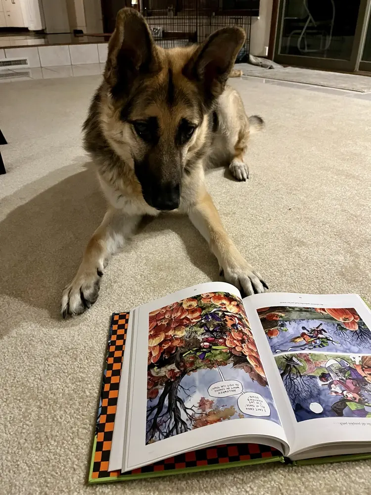 Dmhart31 profile pic