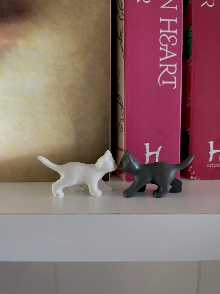 Priyana ୨୧ profile pic