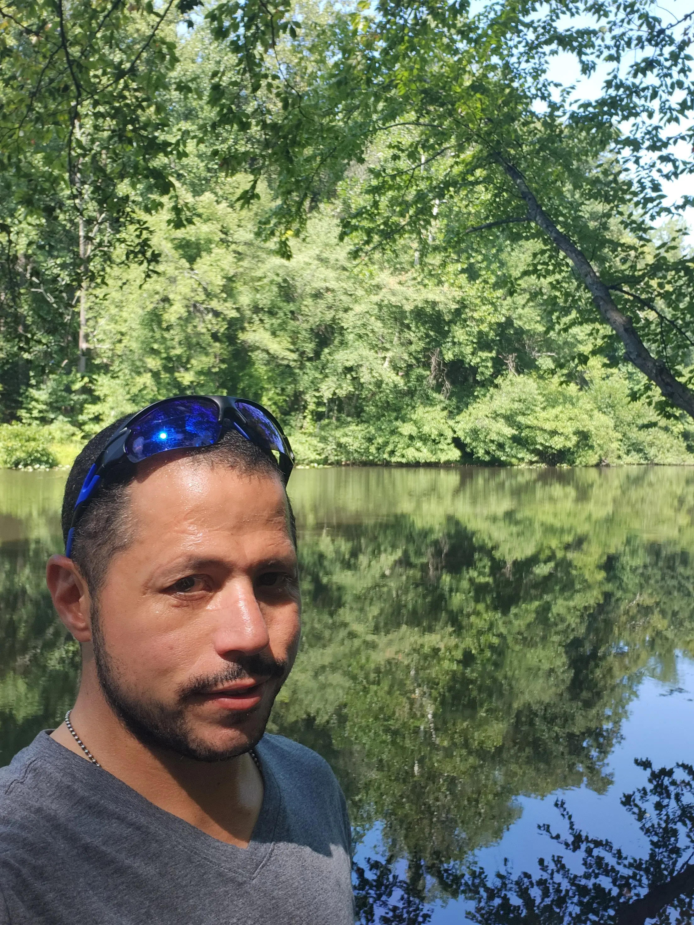 Michael Vieira profile pic