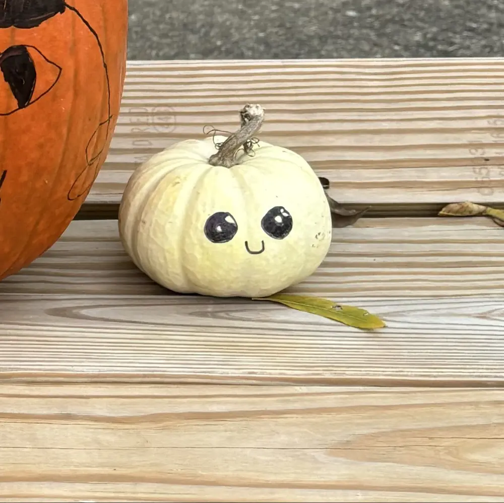 WritingAmanda profile pic