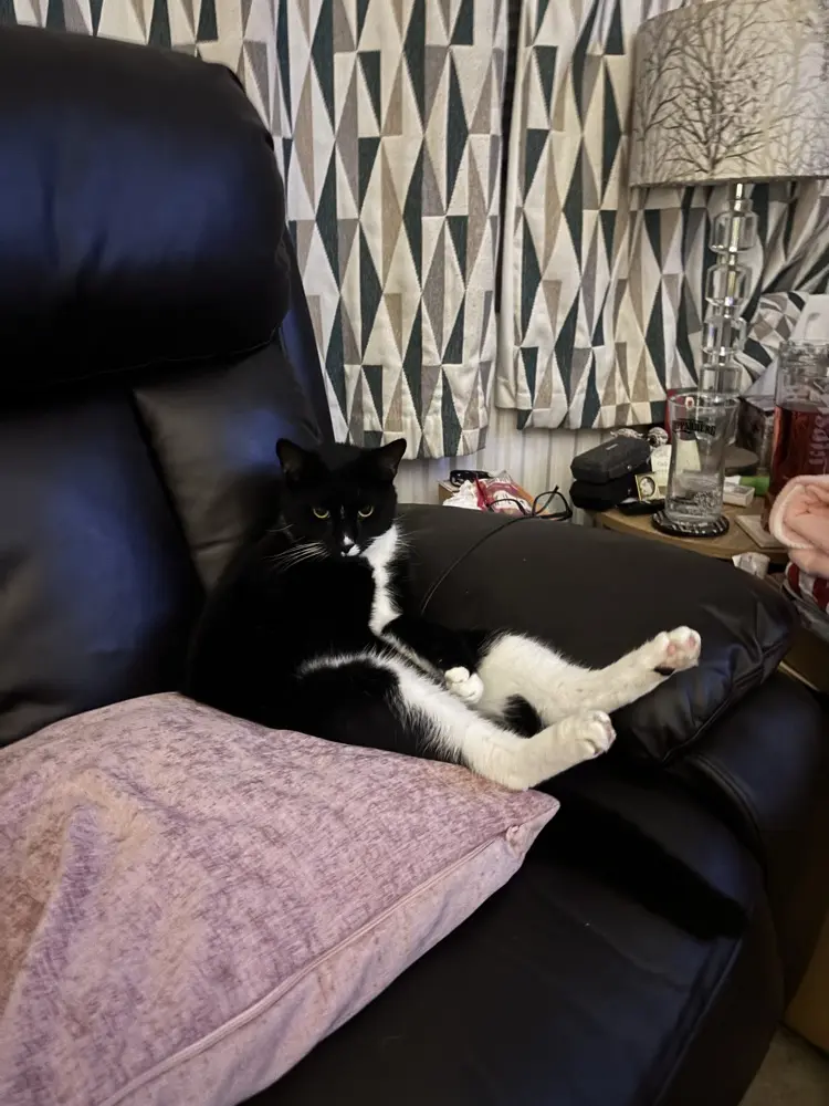 Natalie Mundy profile pic