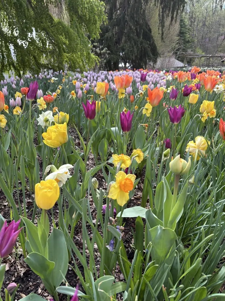 Septembergrrl profile pic