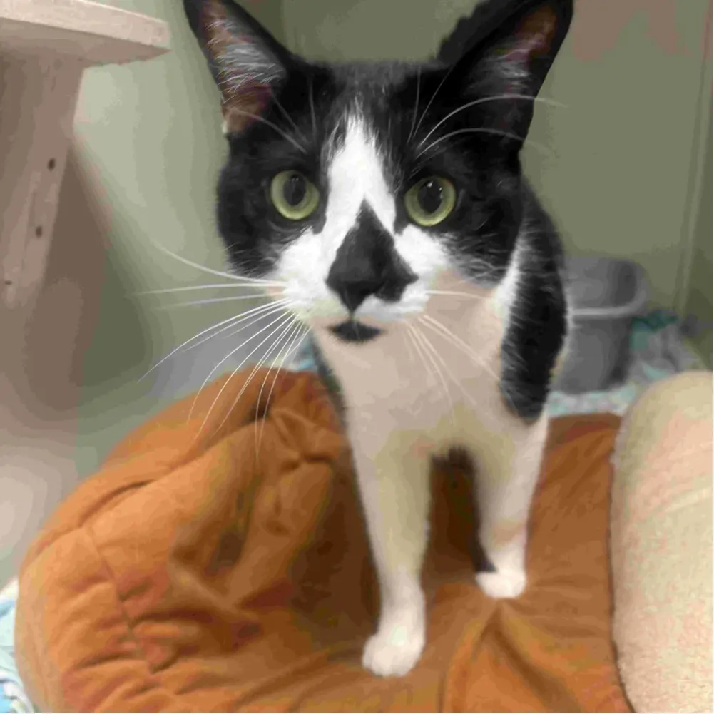 JHawkBookLover profile pic