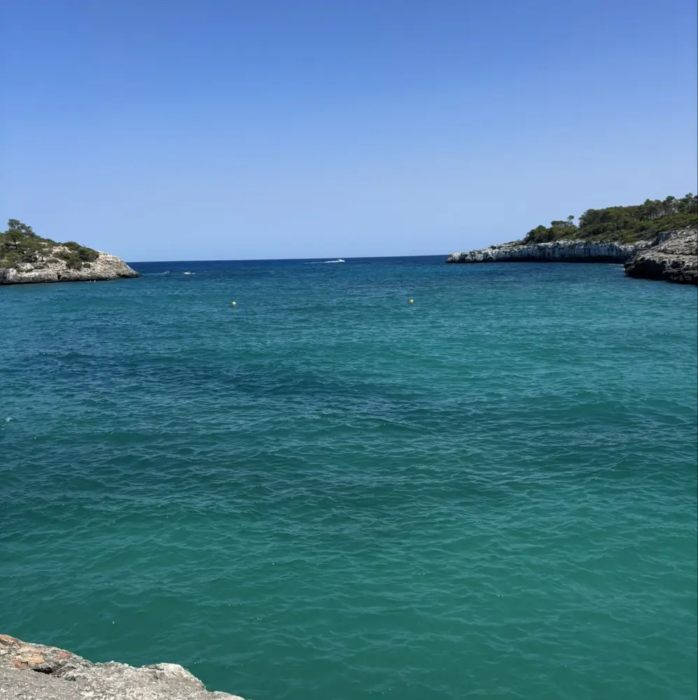 Riley Smith profile pic