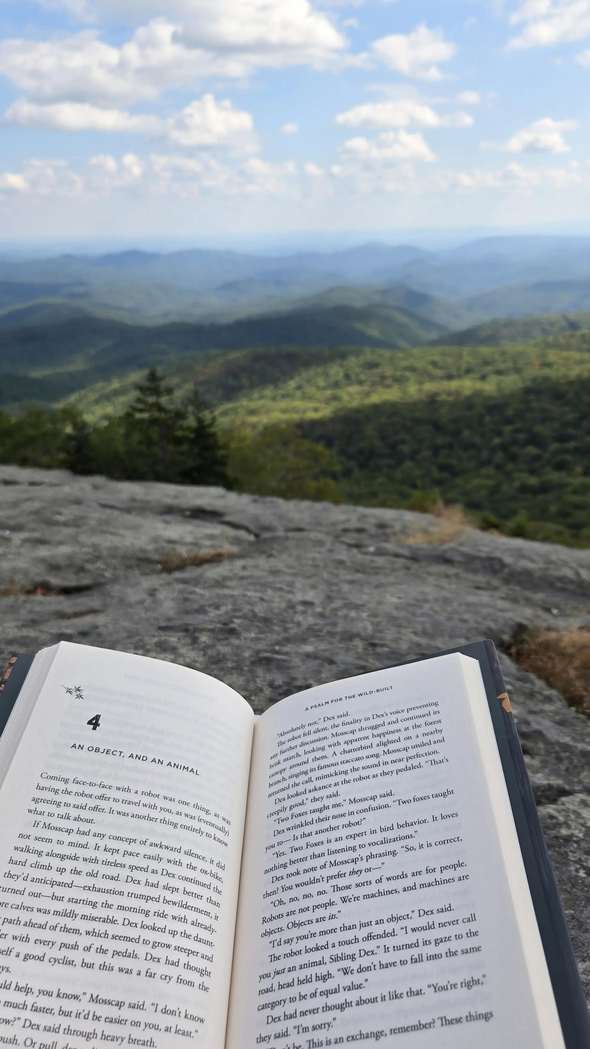 Ashton Ahart profile pic