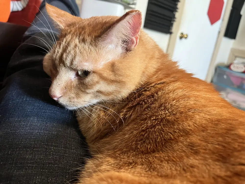 Asher James profile pic